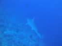 DSC00587.JPG