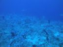 DSC00589.JPG
