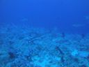 DSC00590.JPG