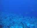 DSC00591.JPG