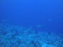 DSC00592.JPG