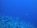 DSC00593.JPG