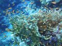 DSC00594.JPG