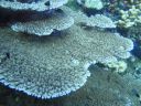 DSC00596.JPG
