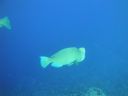 DSC00598.JPG