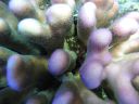 DSC00599.JPG