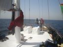 DSC00602.JPG
