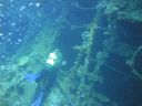 DSC00650.JPG
