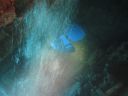 DSC00666.JPG