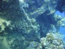 DSC00686.JPG