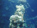 DSC00699.JPG