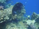 DSC00711.JPG