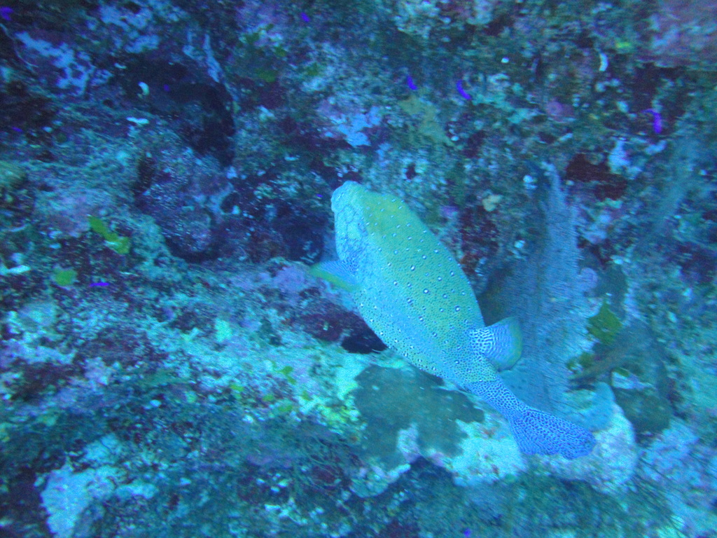 DSC00002.JPG