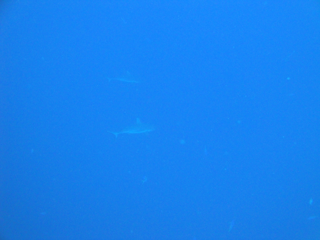 DSC00057.JPG
