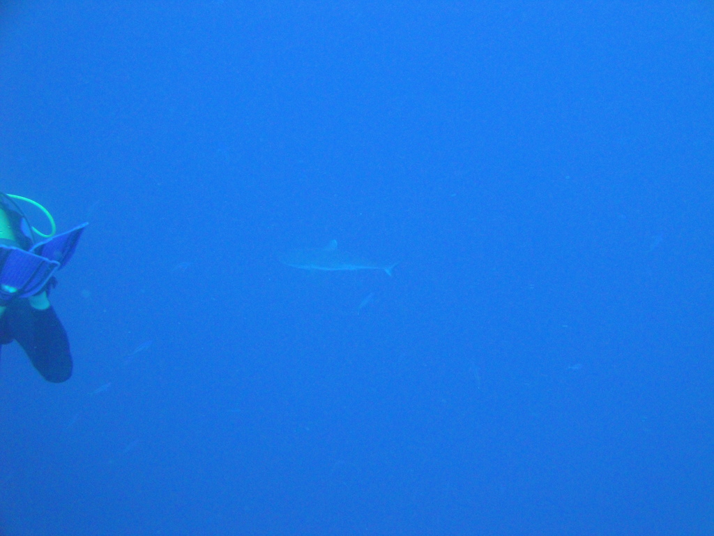DSC00058.JPG