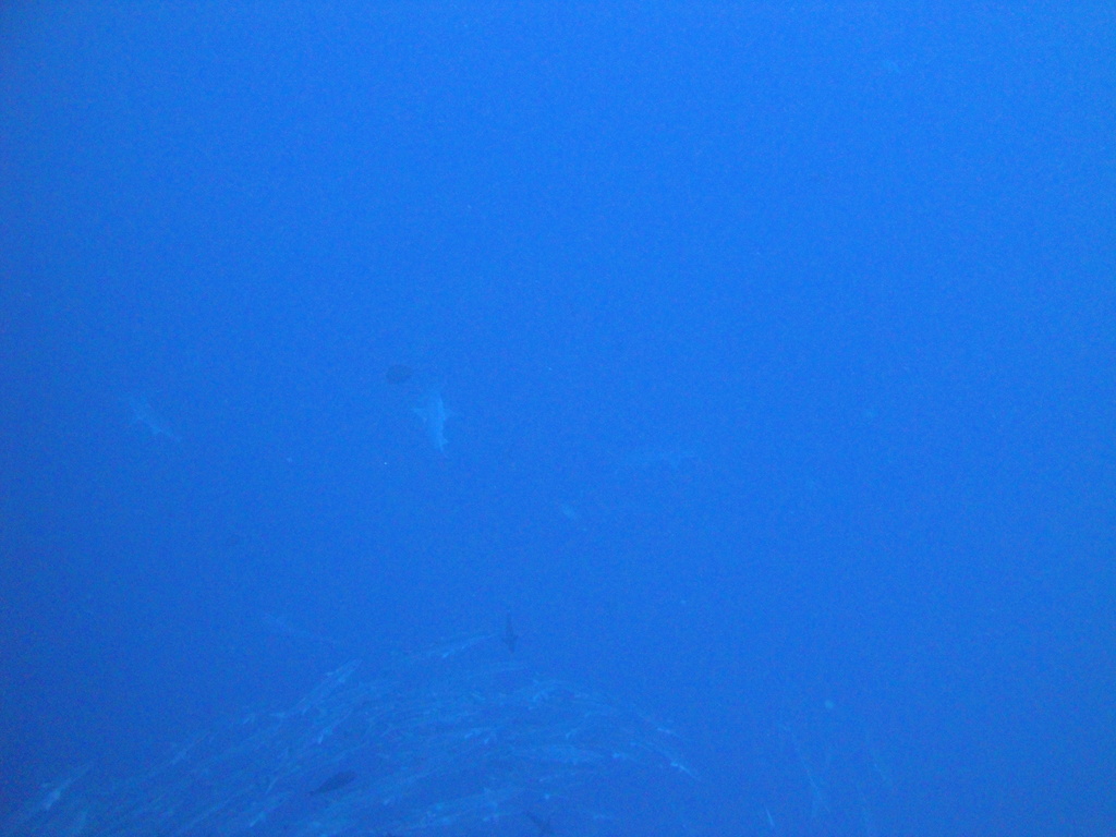DSC00084.JPG