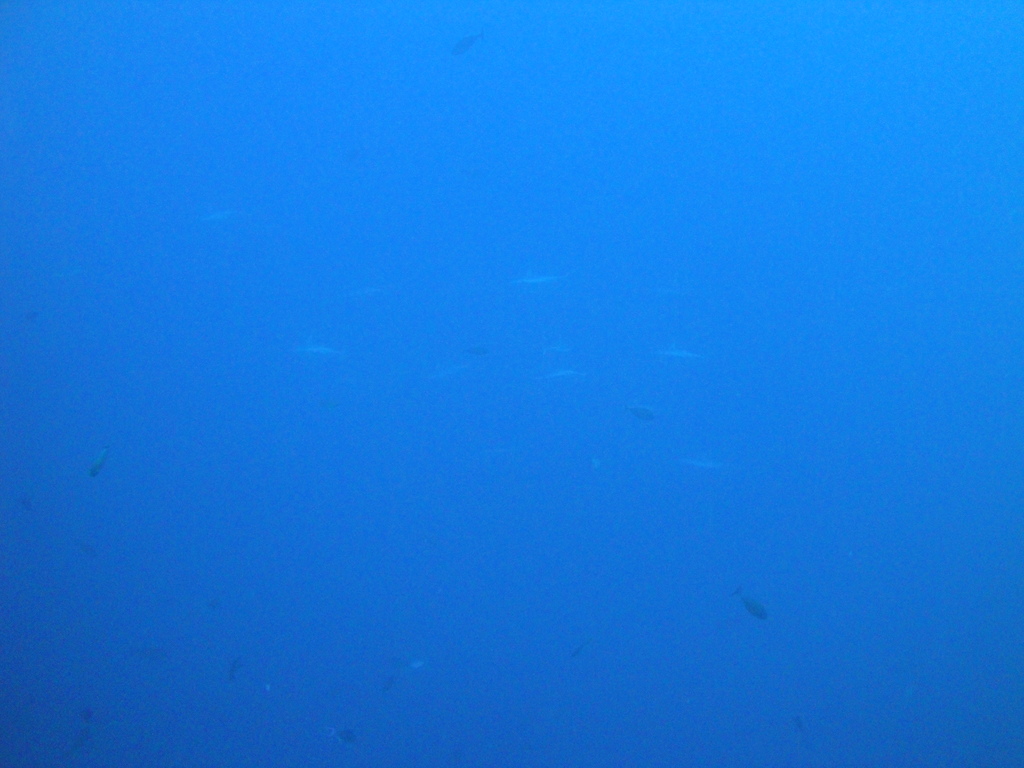 DSC00116.JPG