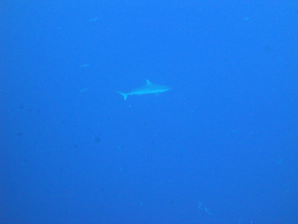 DSC00129.JPG