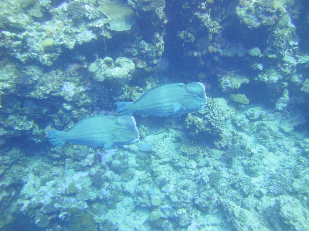 DSC00135.JPG