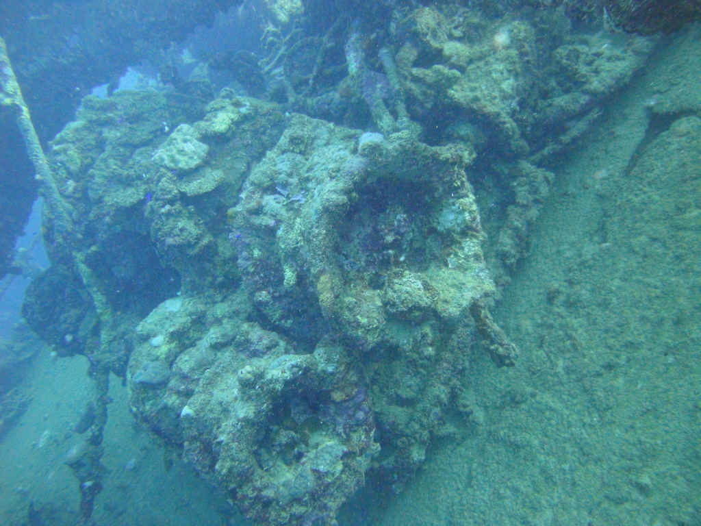 DSC00226.JPG