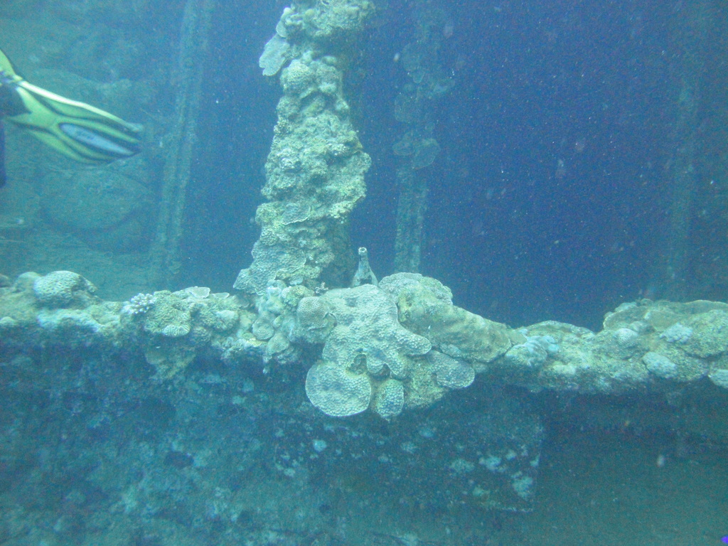 DSC00248.JPG