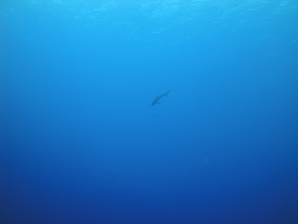 DSC00361.JPG