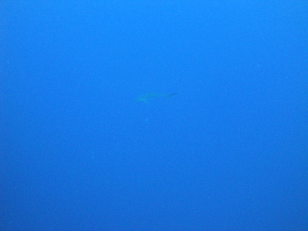 DSC00362.JPG