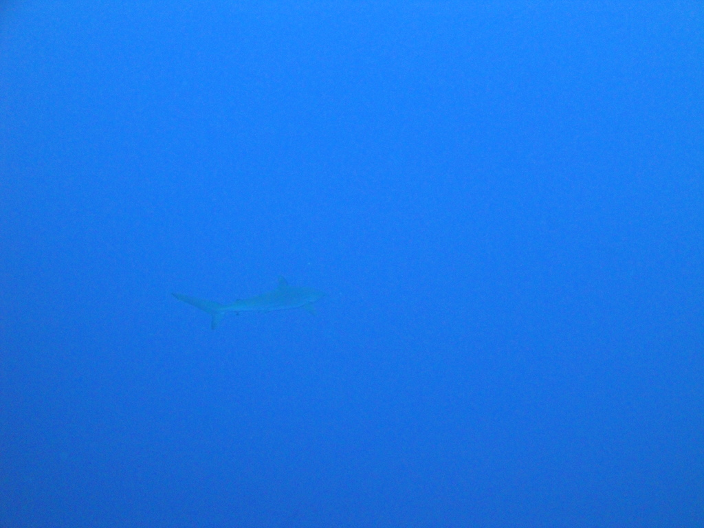 DSC00384.JPG