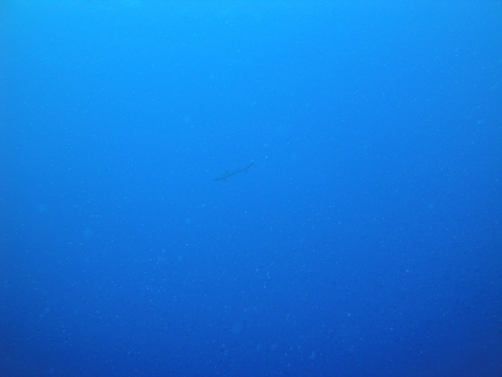 DSC00394.JPG