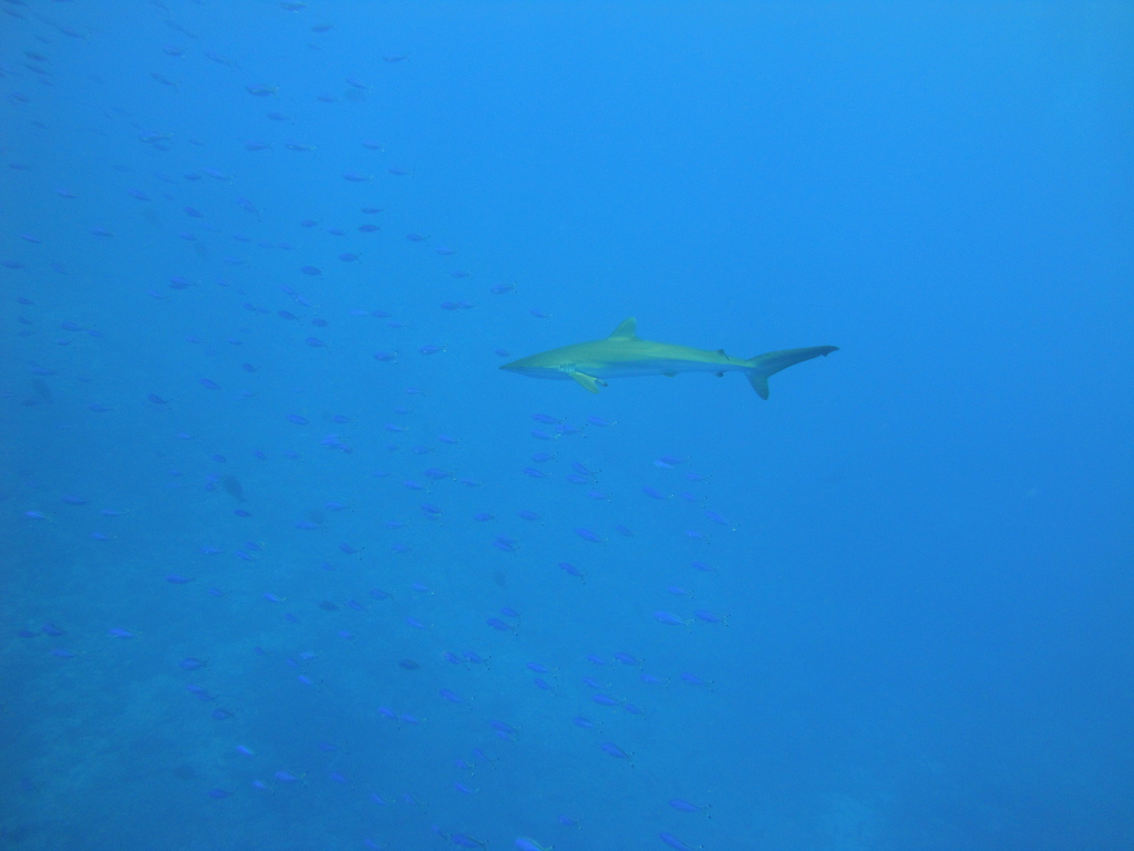 DSC00412.JPG