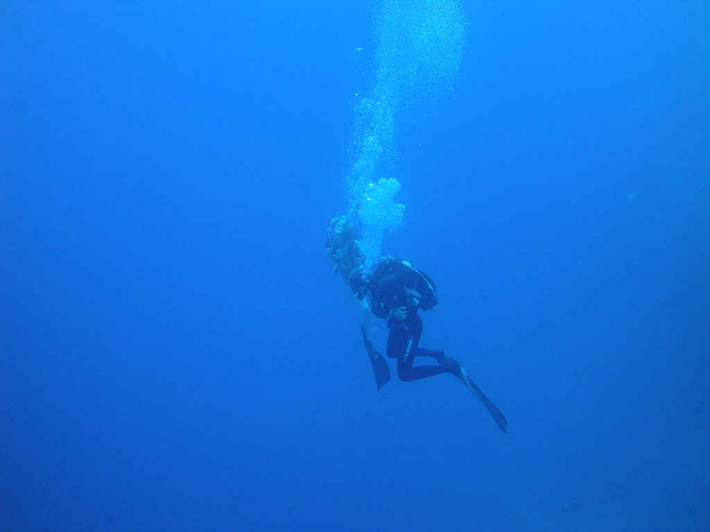 DSC00414.JPG