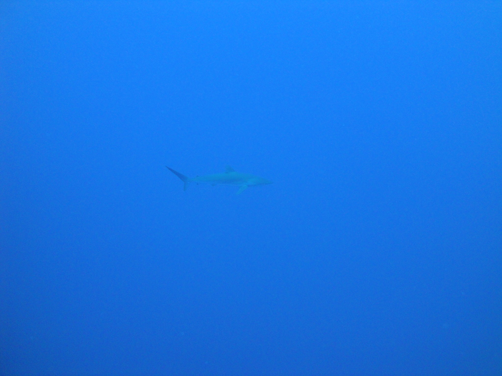 DSC00417.JPG