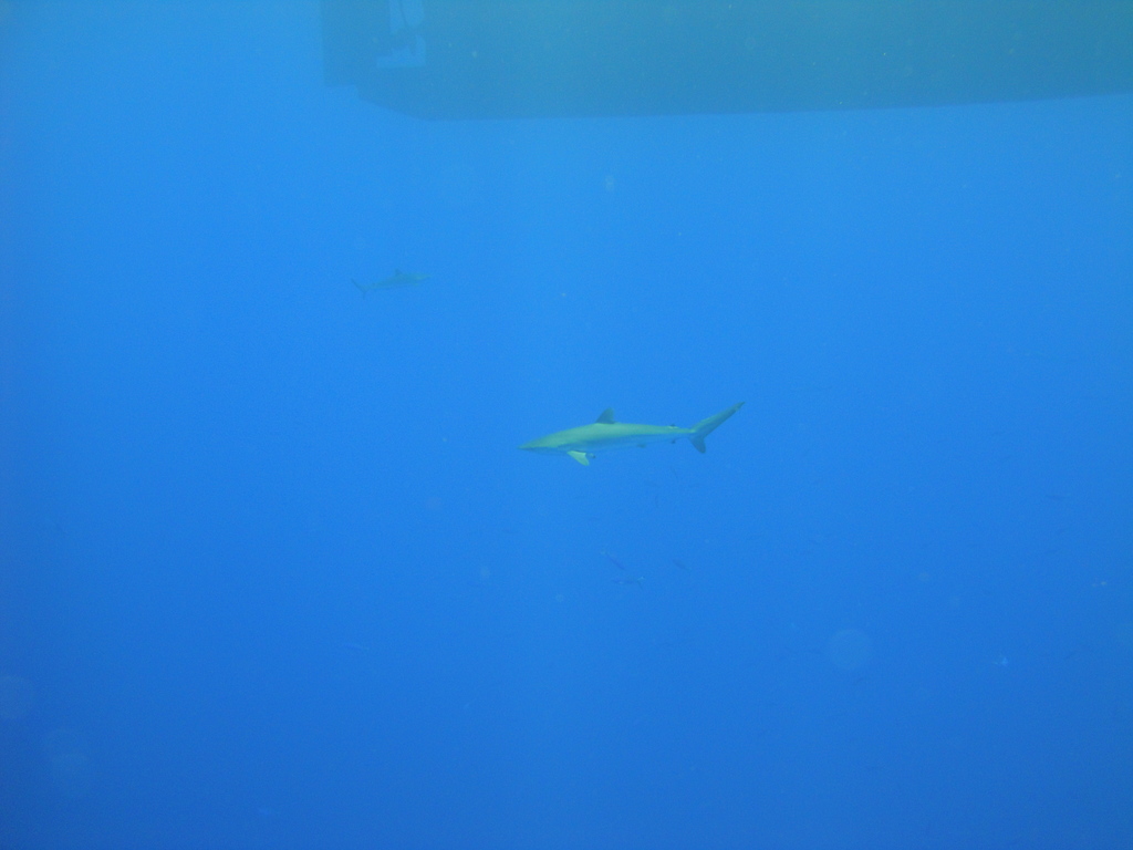 DSC00419.JPG
