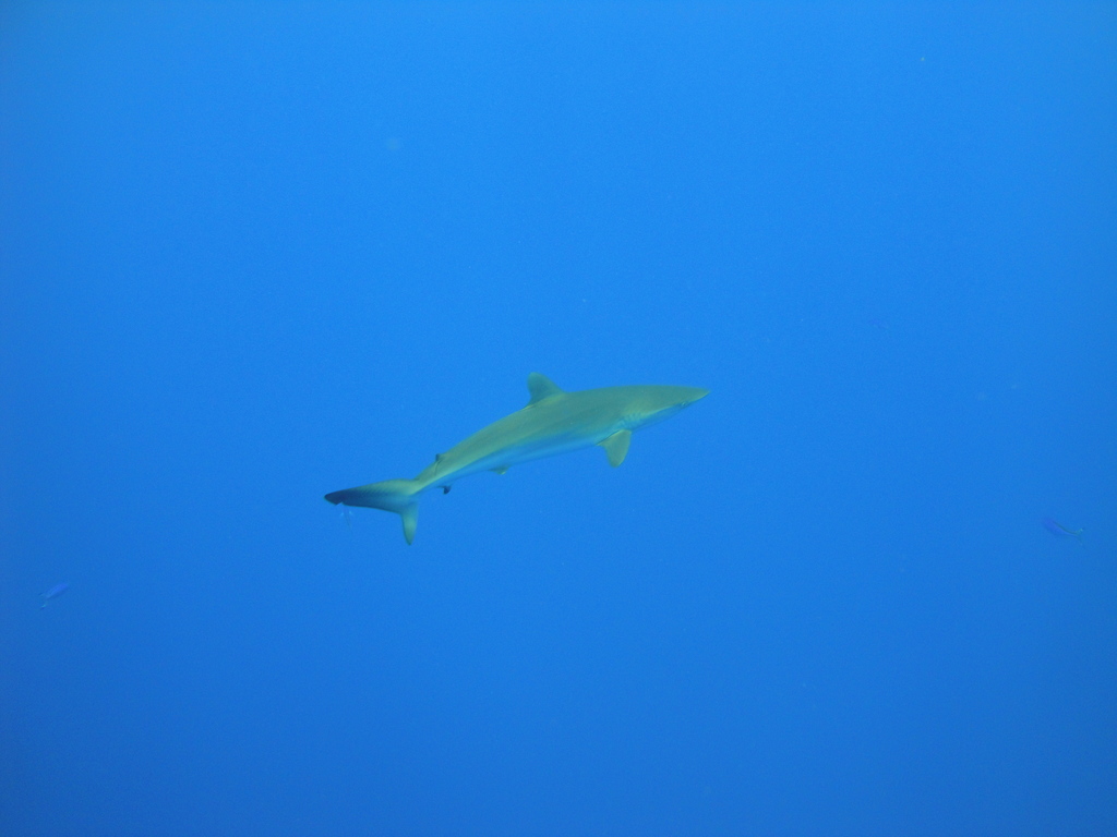 DSC00425.JPG