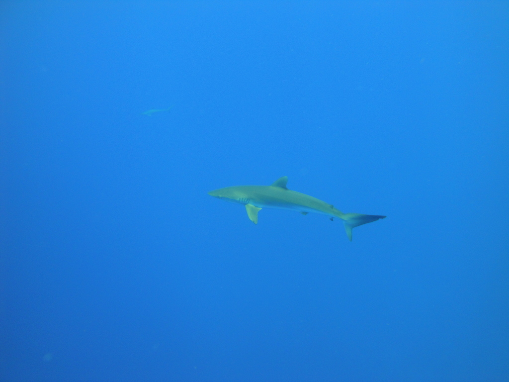 DSC00432.JPG