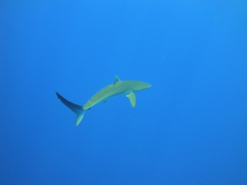 DSC00442.JPG