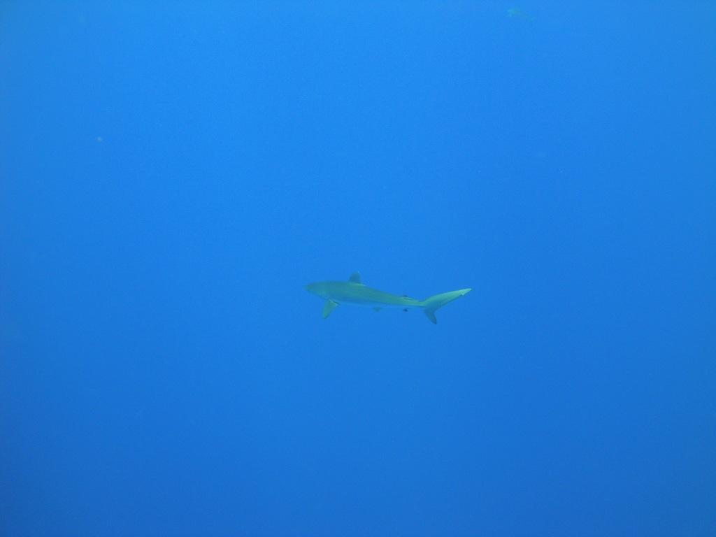 DSC00443.JPG
