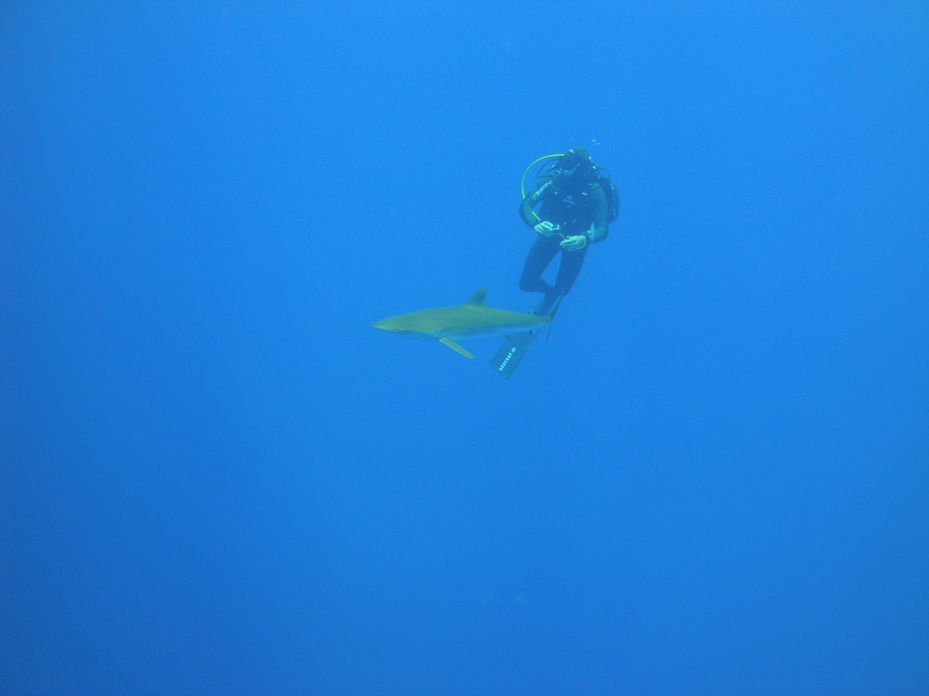DSC00446.JPG
