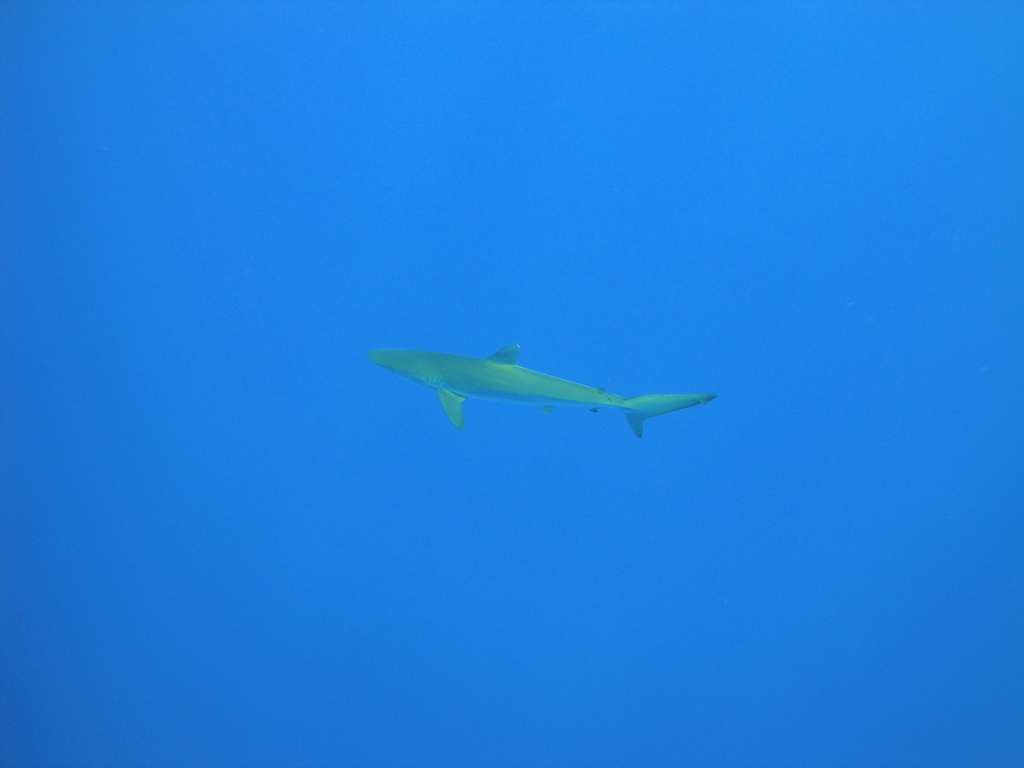 DSC00449.JPG