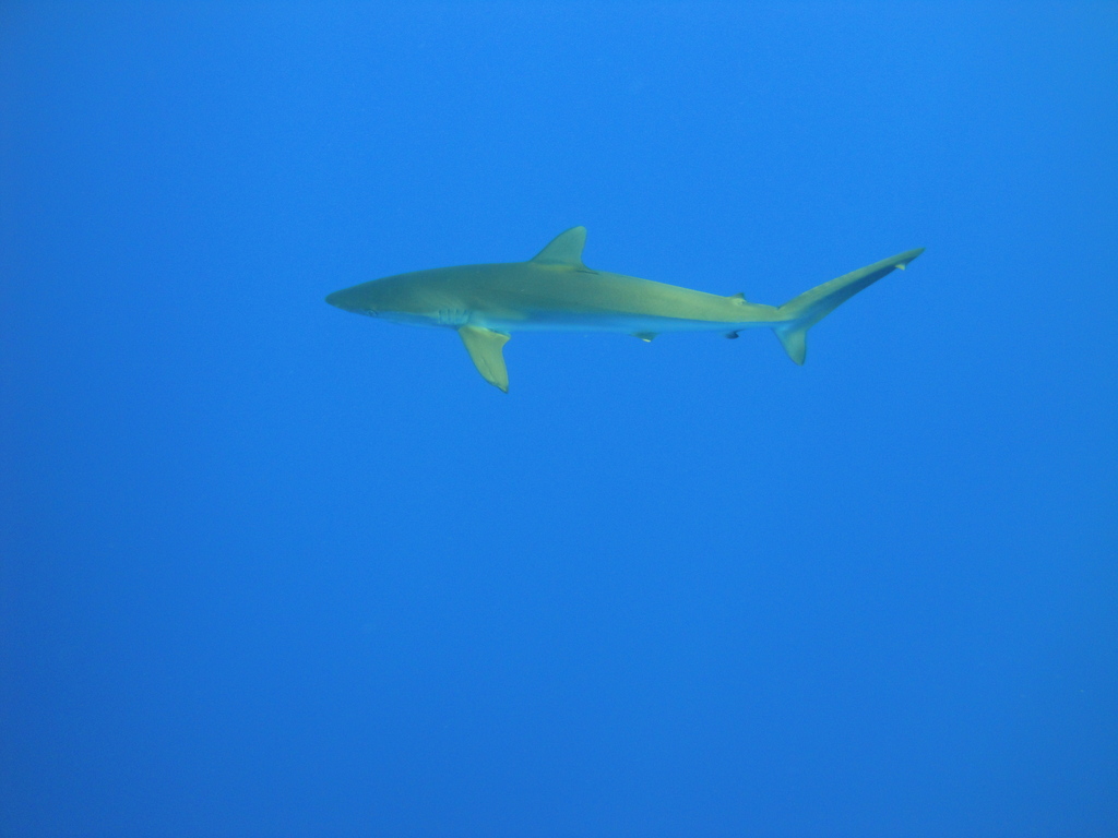 DSC00454.JPG