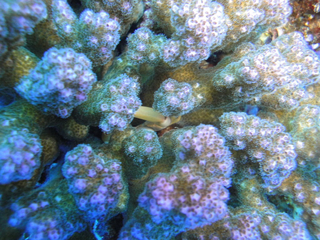 DSC00500.JPG