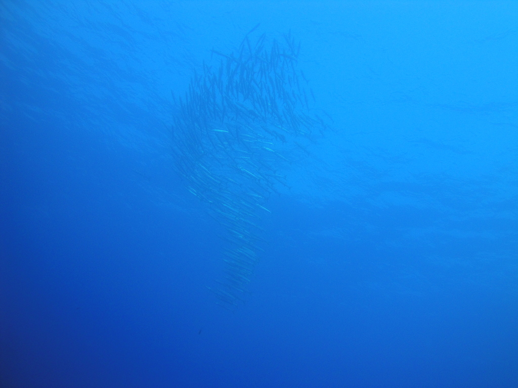 DSC00534.JPG