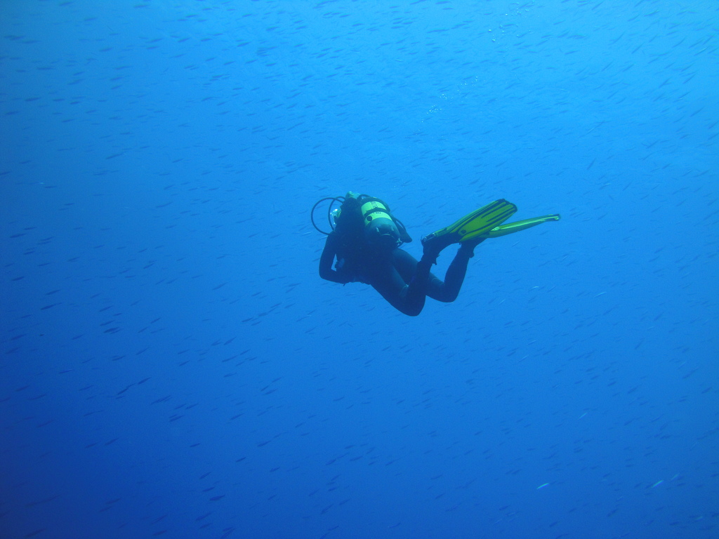 DSC00572.JPG