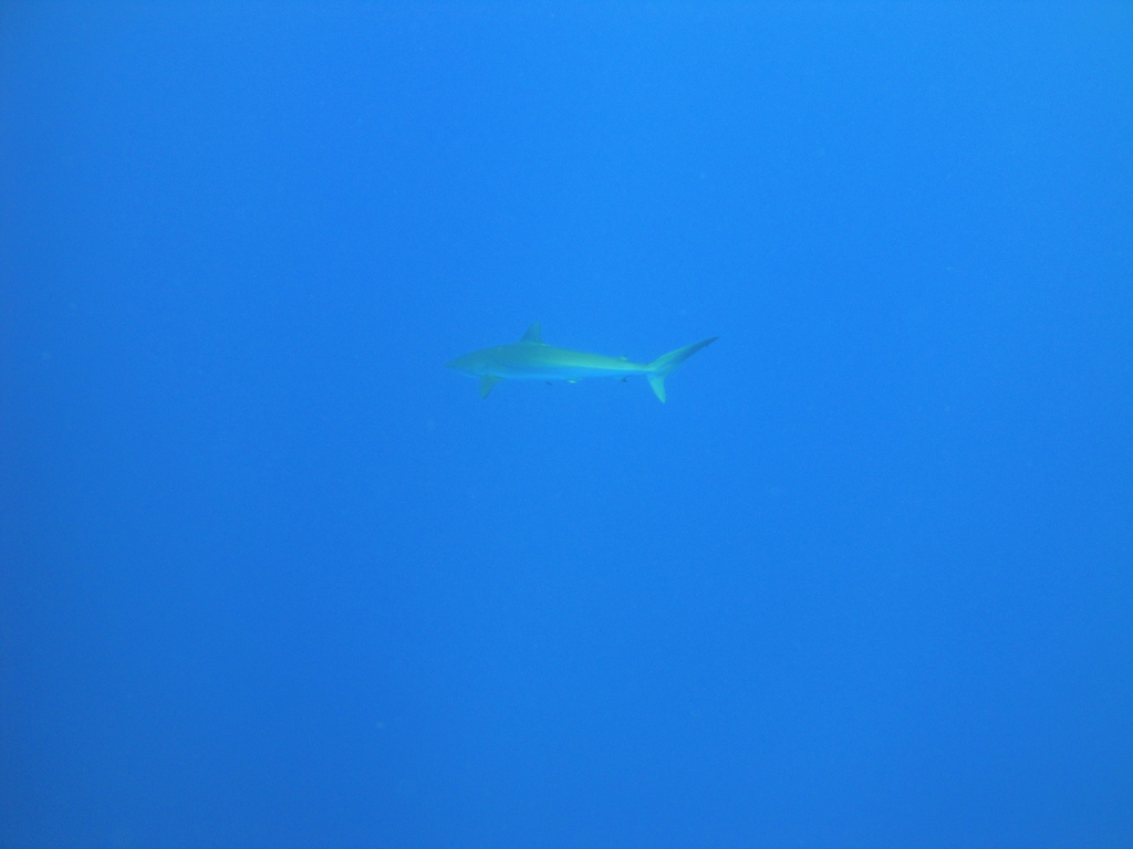 DSC00591.JPG