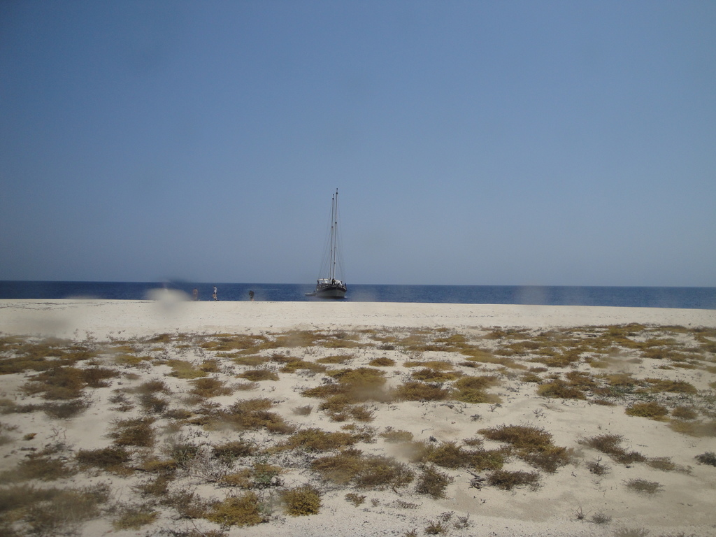 DSC00606.JPG