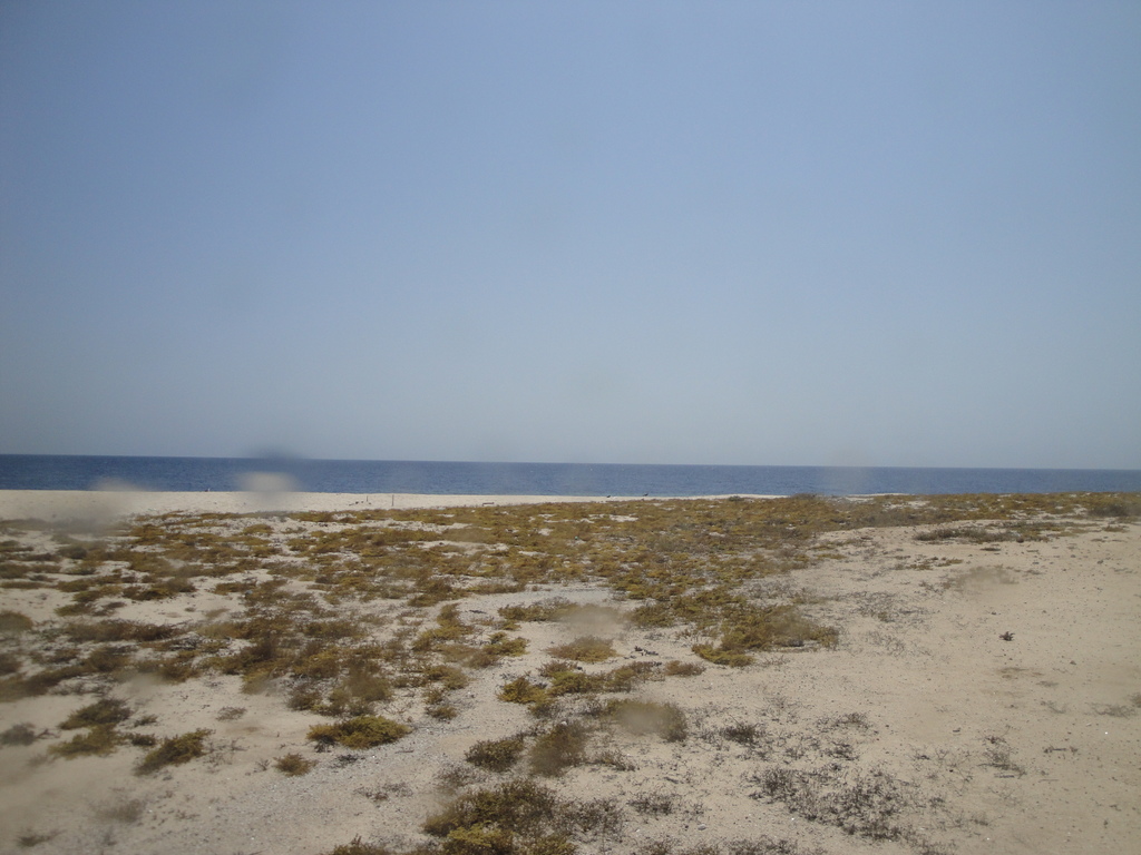 DSC00607.JPG