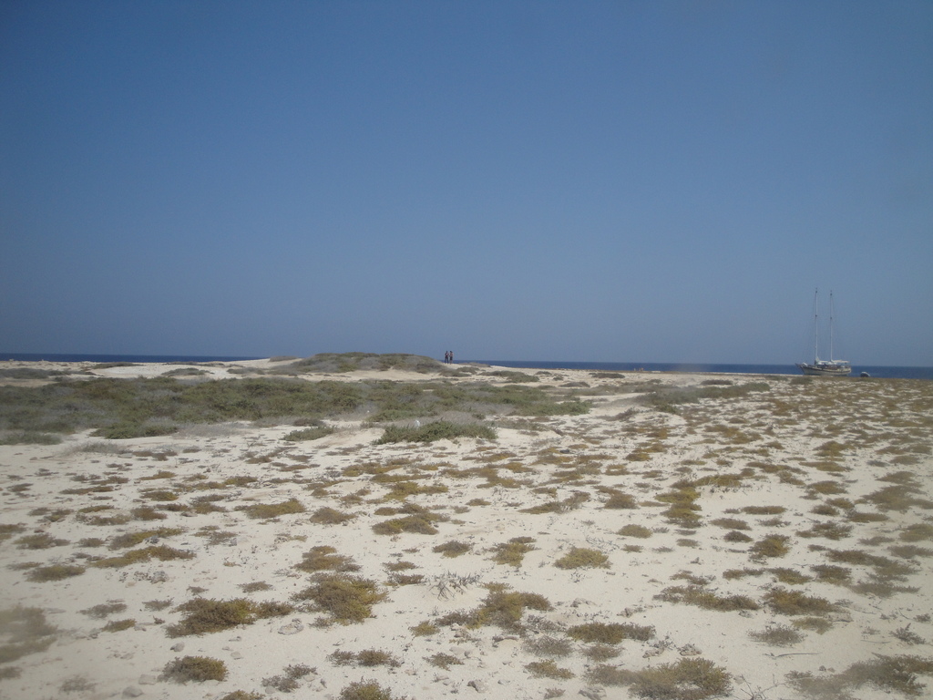 DSC00615.JPG