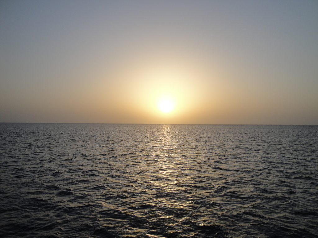 DSC00630.JPG