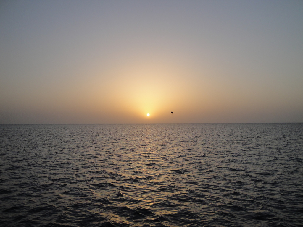 DSC00635.JPG