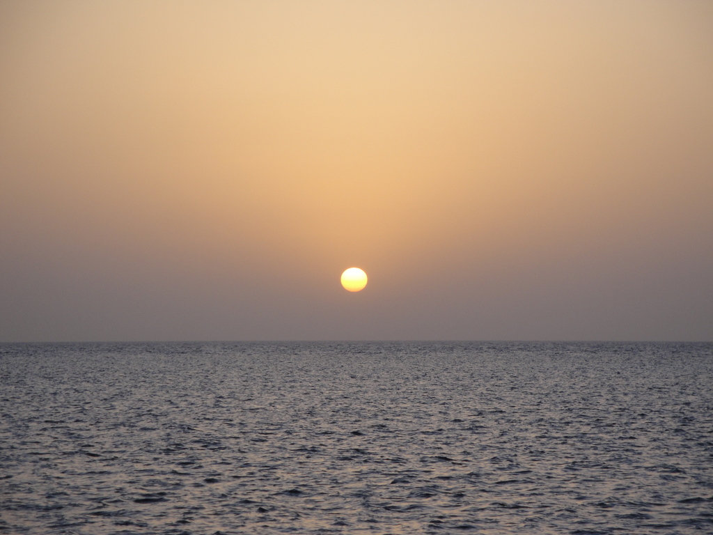 DSC00637.JPG